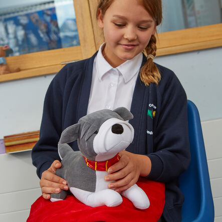 TTS Weighted Lap Buddies Buy all and Save  hi\-res