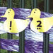 TTS Outdoor Plastic Number Ducks 1\-10  hi\-res