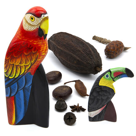TTS The Rainforest Artefact and Books Resource Box  hi\-res