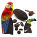 TTS The Rainforest Artefact and Books Resource Box  hi\-res