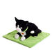 TTS Weighted Lap Buddies \x26 Blanket Cat  hi\-res