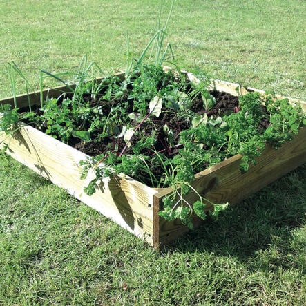 TTS Large Square Wooden Grow Bed  hi\-res