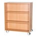 Double Sided Mobile Bookcase 1200mm(h)  hi\-res