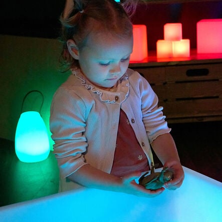 Terrific Talking Frogs  hi\-res