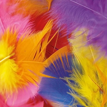 Craft Feathers Assorted 250pk  hi\-res
