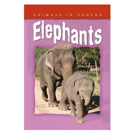 Accelerated Reader Non Fiction Books  hi\-res