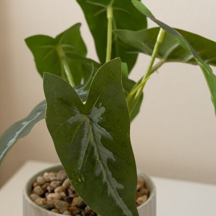 Artificial House Plants in White Ribbed Ceramic Pots 3pk  hi\-res