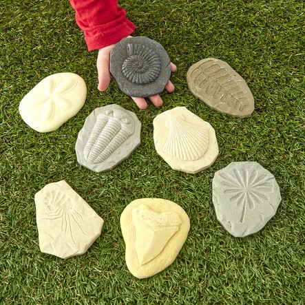 Let\'s Investigate Fossils  hi\-res