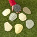Let\'s Investigate Fossils  hi\-res