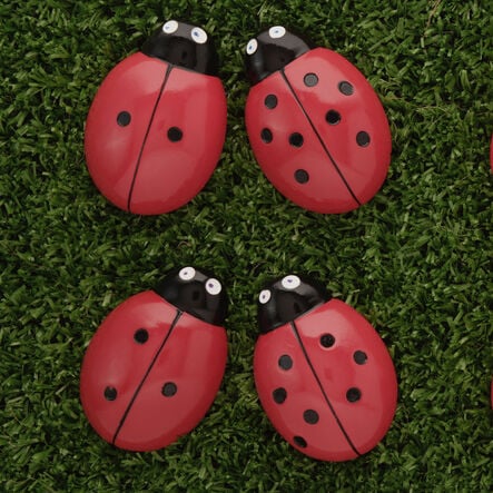 Ladybird Counters and Cards  hi\-res