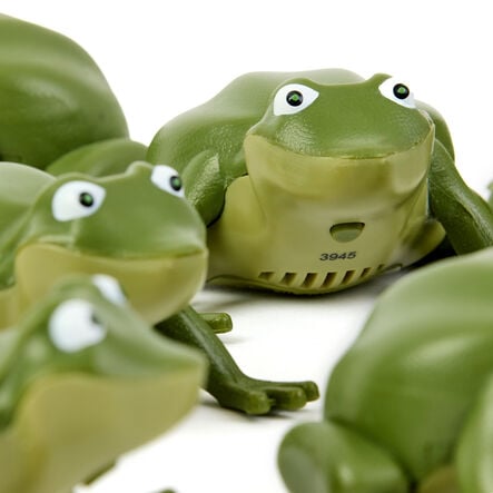 Terrific Talking Frogs  hi\-res