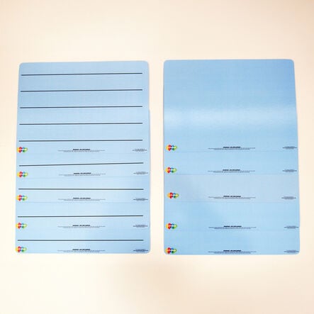 Tinted Lined A4 Wipe Boards  hi\-res