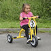 Wisdom Large Trike  hi\-res