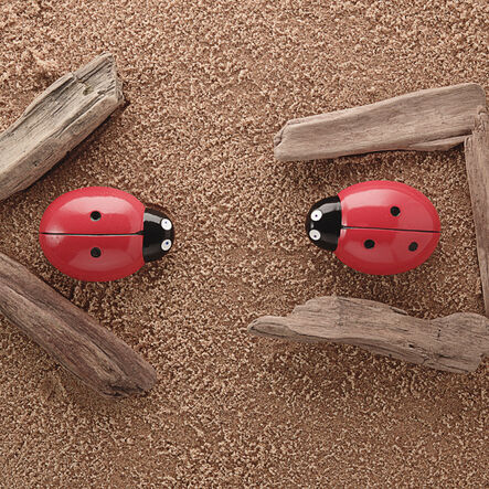 Ladybugs Counting Stones 22pk  hi\-res