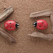 Ladybugs Counting Stones 22pk  hi\-res