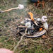 Forest School Fire on a Plate Starter Kit  hi\-res