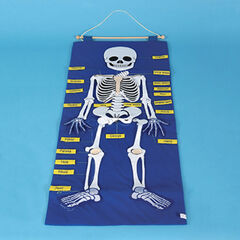 Fabric Skeleton Wall Hanging  hi-res