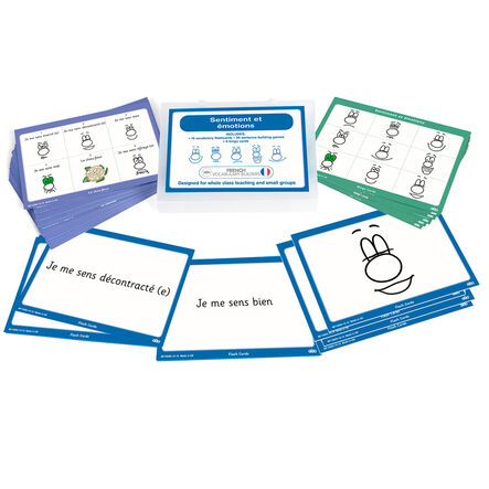 TTS French Feelings and Emotions Topic Cards  hi\-res
