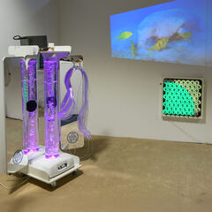 Vecta Deluxe Mobile Sensory Station  Vecta Deluxe Mobile Sensory Station  hi-res