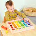 TTS Baby Wooden Colour Sorting Collection  hi\-res
