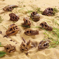 Small World Replica Dinosaur Skulls 11pk  Small World Replica Dinosaur Skulls 11pk  hi-res