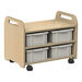 Millhouse Double Sided 2 in 1 Easel \x26 Storage Trolley  hi\-res