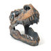 Dinosaur Fossil Kit  hi\-res