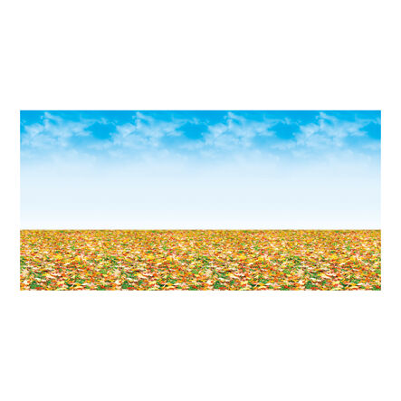 Bordette® Designs Display Paper Stockroom Assortment  hi\-res