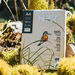 Ledesma NAT A3 Copier Paper 75gsm 500 Sheets  hi\-res