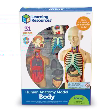 Learning Resources Complete Anatomy Models  hi\-res