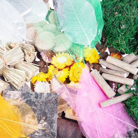 Natural Craft and Collage Classroom Pack  hi\-res