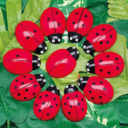 Ladybugs Counting Stones 22pk  hi\-res