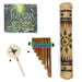 TTS The Rainforest Artefact and Books Resource Box  hi\-res