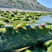 Small World Rubber Road and Rail Bundle  hi\-res