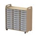 3 Column Tray Storage inc 15 Deep Translucent Trays  hi\-res