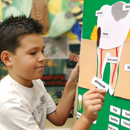Tooth Health and Hygiene Wall Hanging  hi\-res