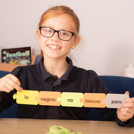 TTS Spanish Sentence Tub Pets and Colours  hi\-res