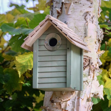 Bird Box  hi\-res