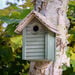 Bird Box  hi\-res