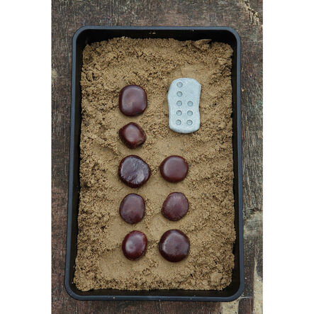 Tactile Counting Stones 20pk  hi\-res
