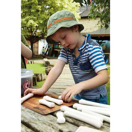 Match and Measure Activity Cards for Dinosaur Bones 16pk  hi\-res