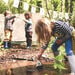 Outdoor Pirate Den Making Kit  hi\-res
