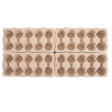 TTS Egg Box Maths Set  hi\-res