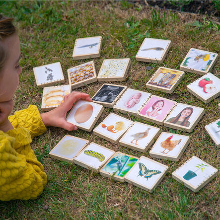 Wooden Life Cycle Tiles 24pk  hi\-res