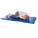 Folding Sleep Mat  hi\-res