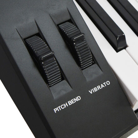 Axus Digital AXP2 Electronic Keyboard  hi\-res