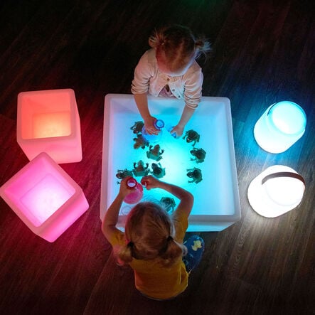 Terrific Talking Frogs  hi\-res