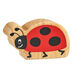 Natural Wooden Small World Insect Collection 6pk  hi\-res