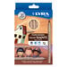 Lyra Skin Tone Jumbo Colouring Pencils Assorted 12pk  hi\-res
