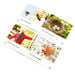 Seasons Book Pack  hi\-res